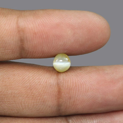 Chrysoberyl Cat`s Eye - 2.61 Carat