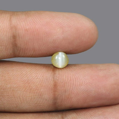 Chrysoberyl Cat`s Eye - 2.61 Carat