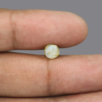 Chrysoberyl Cat`s Eye - 2.61 Carat