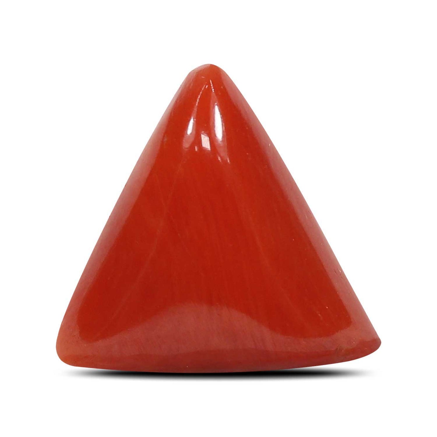 Red Coral (Moonga) - 5.34 Carat