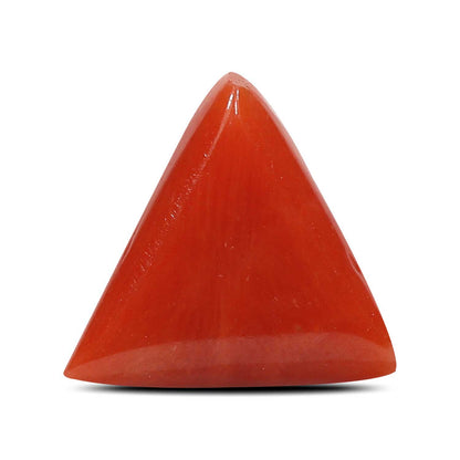 Red Coral (Moonga) - 5.34 Carat