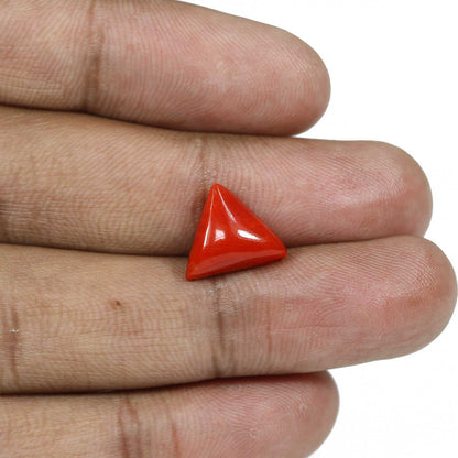 Red Coral (Moonga) - 5.34 Carat