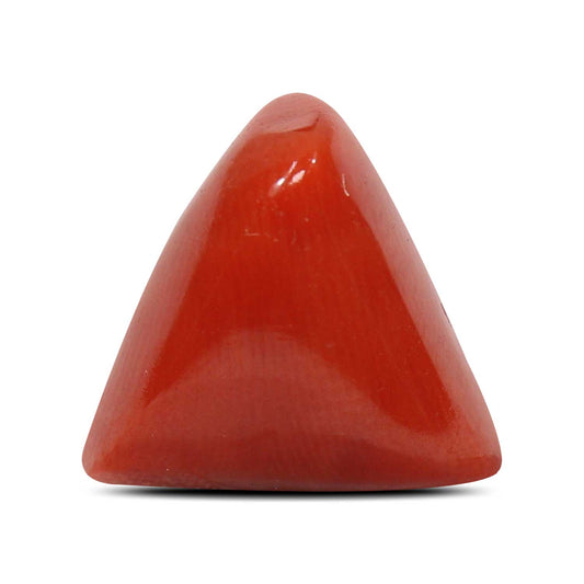 Red Coral (Moonga) - 5.76 Carat