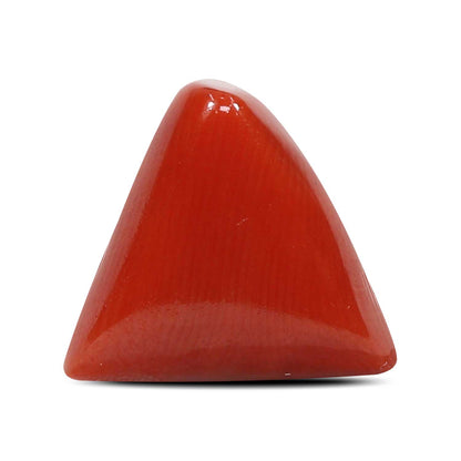 Red Coral (Moonga) - 5.76 Carat