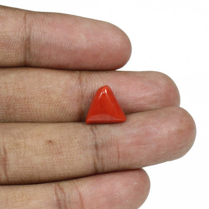 Red Coral (Moonga) - 5.76 Carat