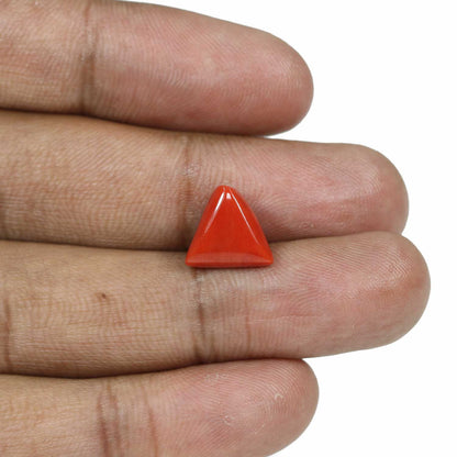Red Coral (Moonga) - 5.76 Carat