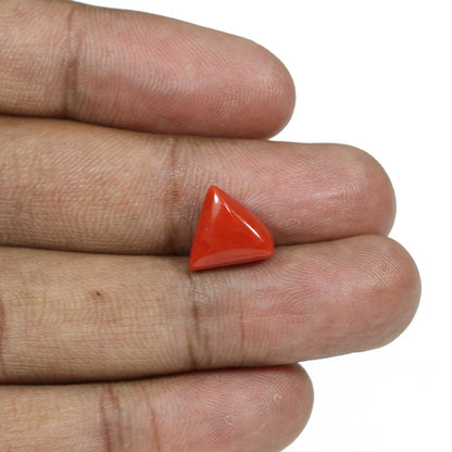 Red Coral (Moonga) - 5.76 Carat
