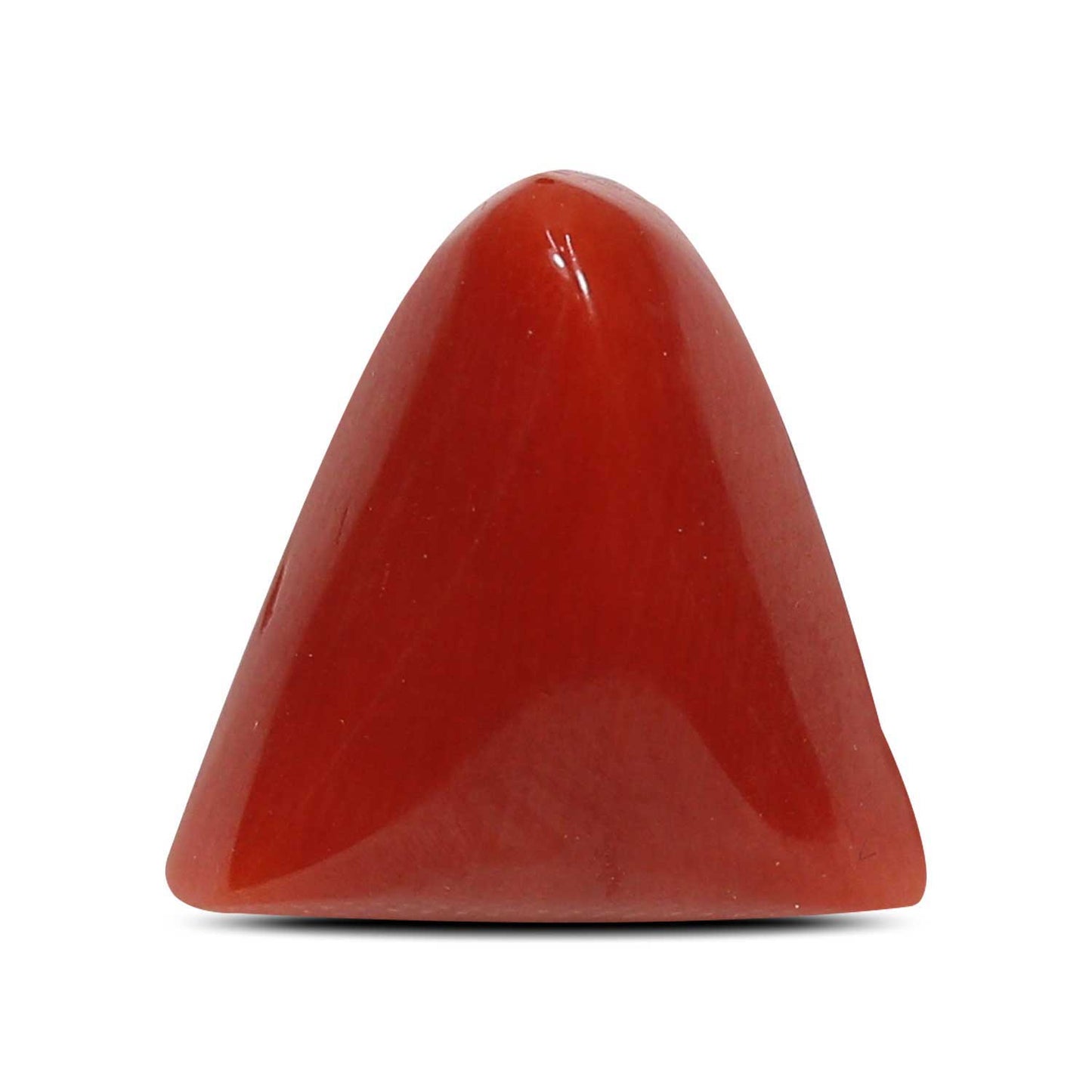 Red Coral (Moonga) - 5.16 Carat