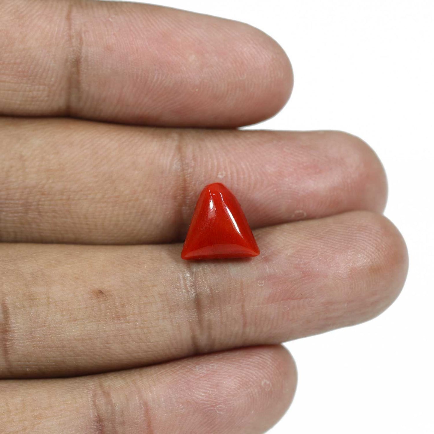 Red Coral (Moonga) - 5.16 Carat