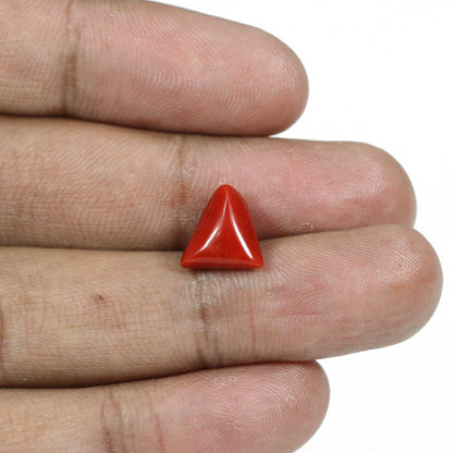 Red Coral (Moonga) - 5.16 Carat