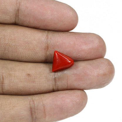 Red Coral (Moonga) - 5.16 Carat