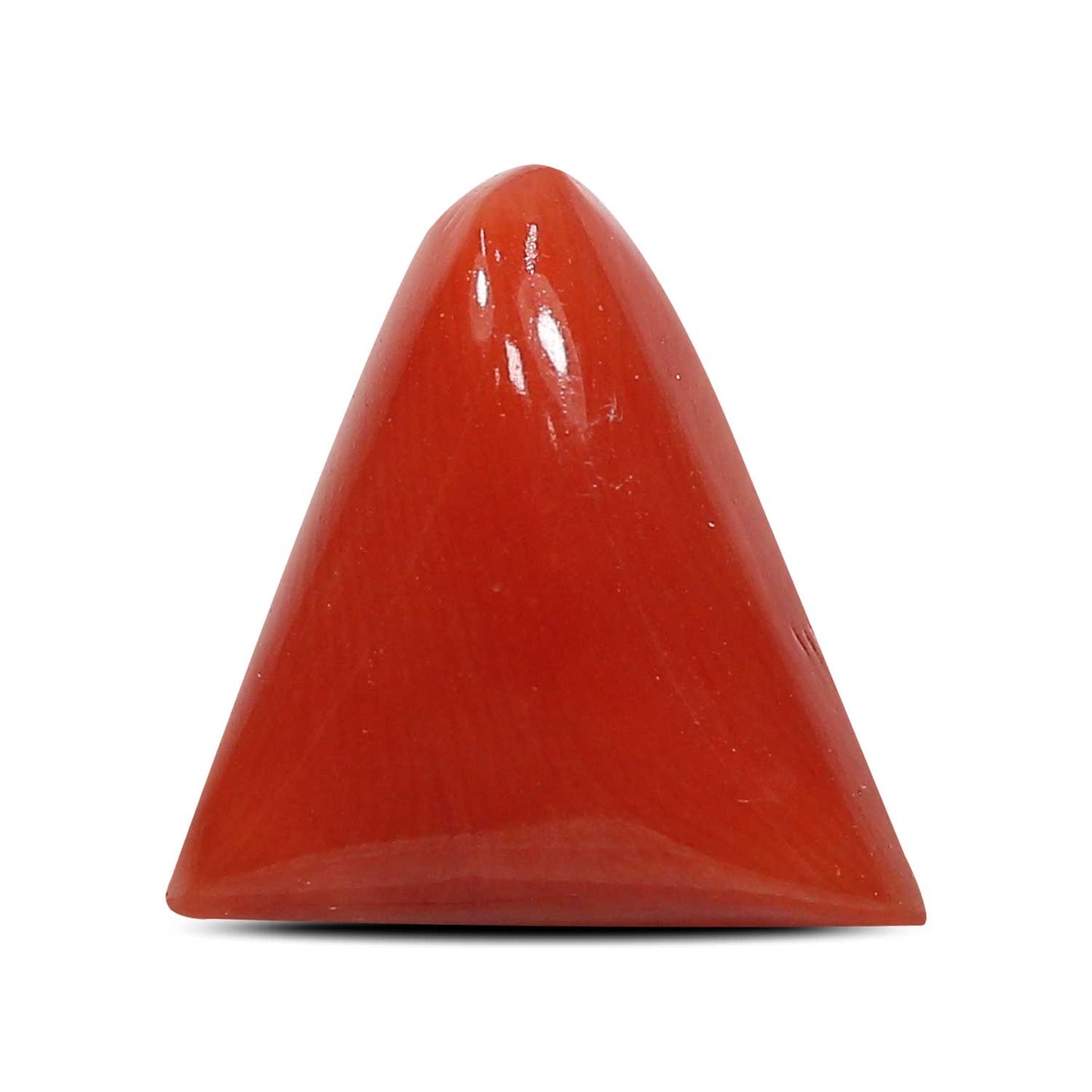 Red Coral (Moonga) - 5.76 Carat