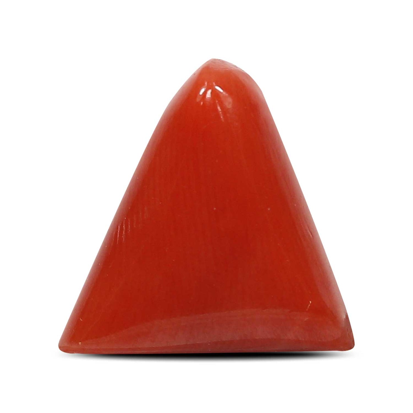 Red Coral (Moonga) - 5.76 Carat