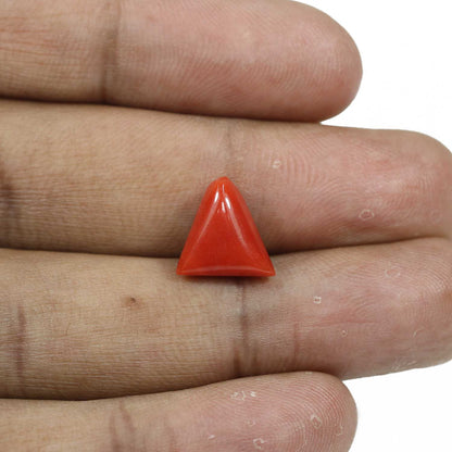 Red Coral (Moonga) - 5.76 Carat