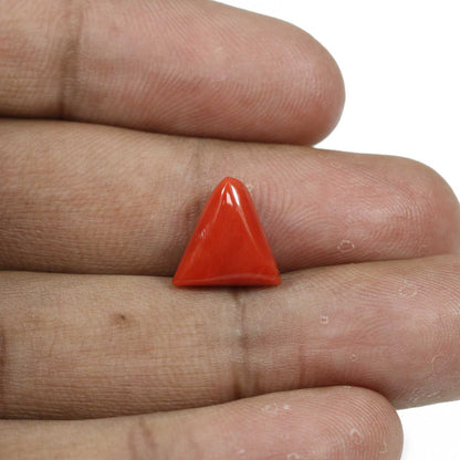 Red Coral (Moonga) - 5.76 Carat