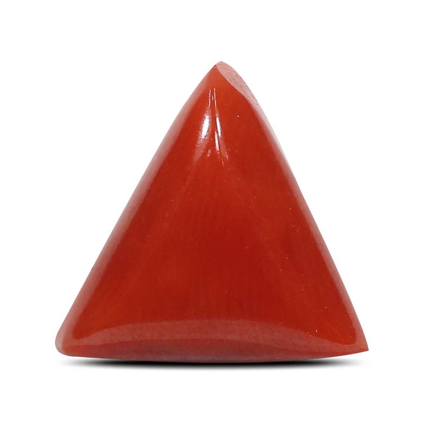 Red Coral (Moonga) - 4.9 Carat