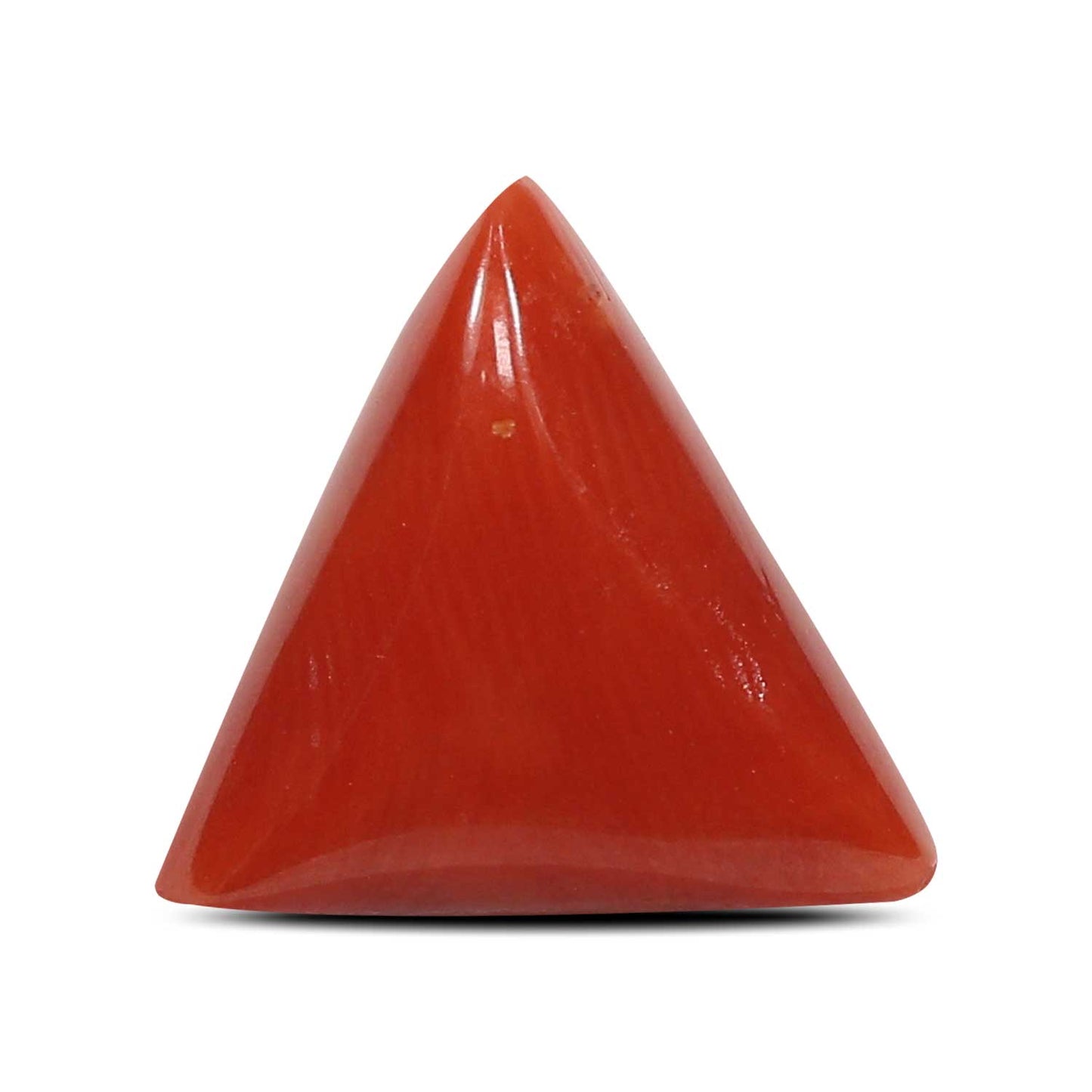 Red Coral (Moonga) - 4.9 Carat