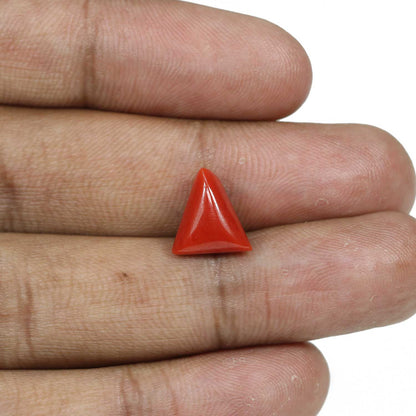 Red Coral (Moonga) - 5 Carat
