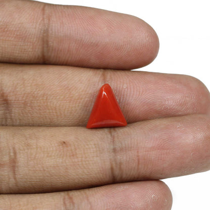 Red Coral (Moonga) - 5 Carat
