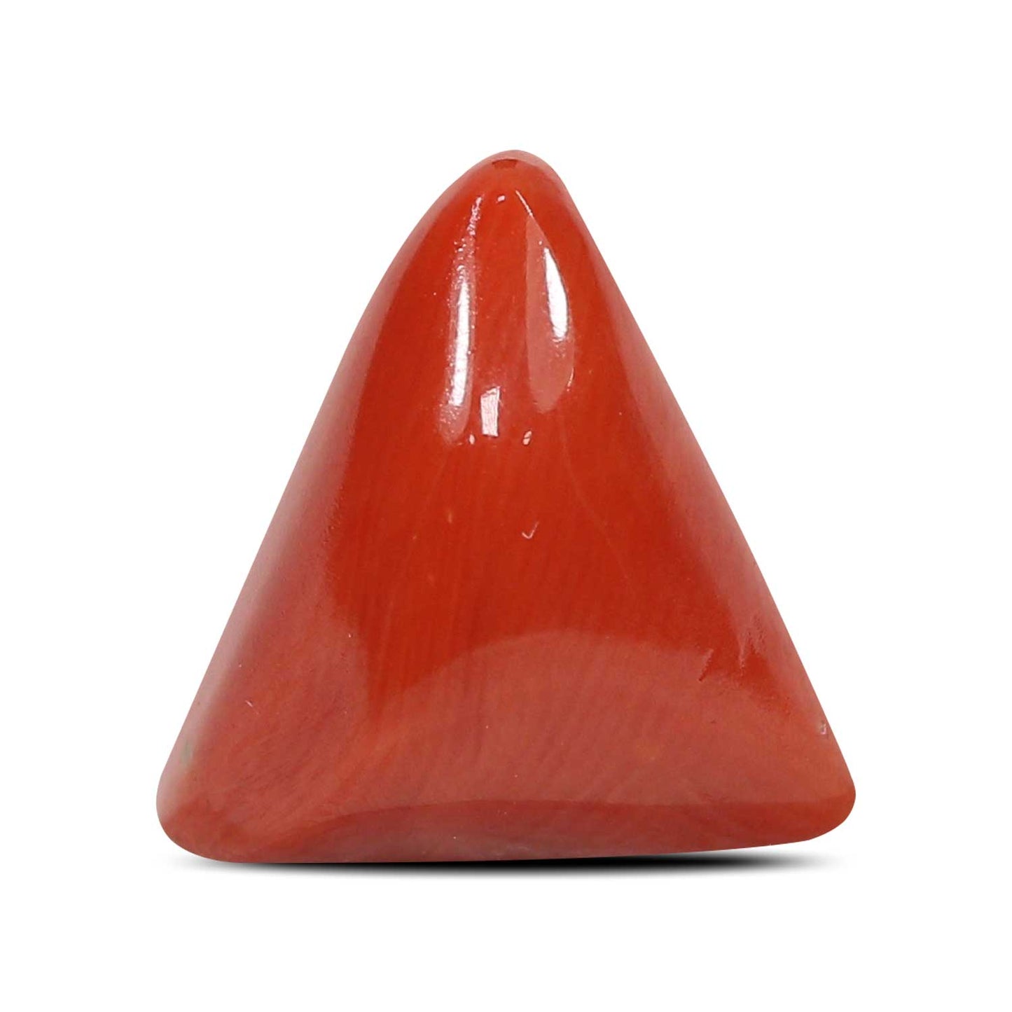 Red Coral (Moonga) - 5.79 Carat