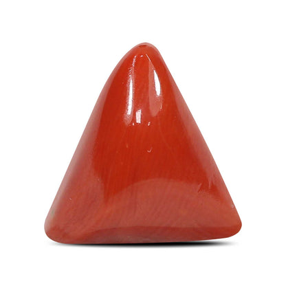 Red Coral (Moonga) - 5.79 Carat