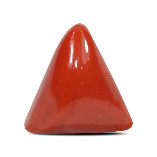 Red Coral (Moonga) - 5.79 Carat