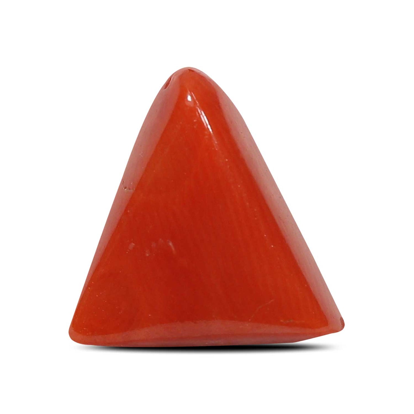 Red Coral (Moonga) - 5.79 Carat