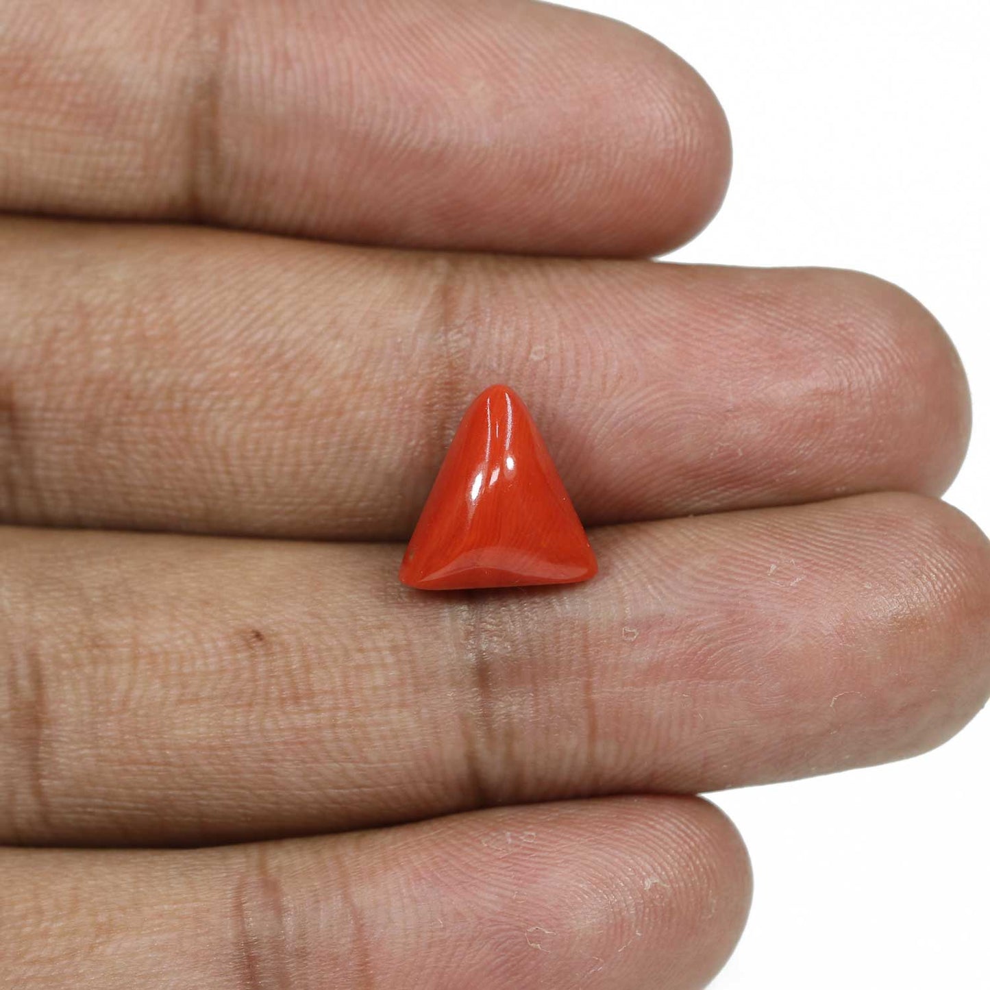 Red Coral (Moonga) - 5.79 Carat