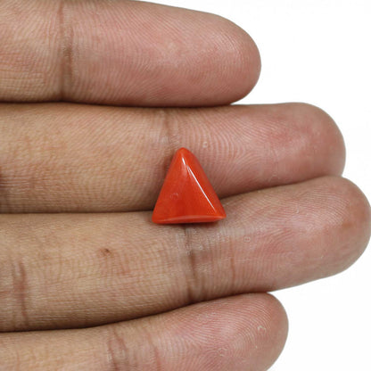 Red Coral (Moonga) - 5.79 Carat