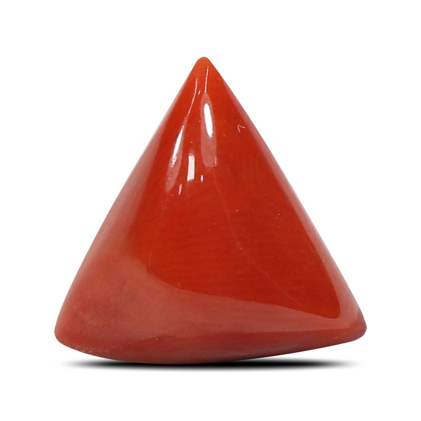 Red Coral (Moonga) - 4.88 Carat