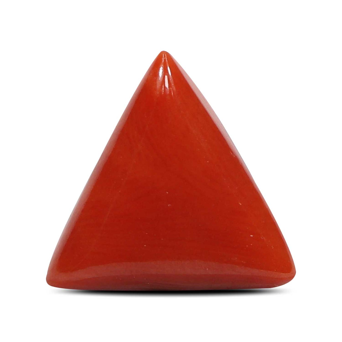 Red Coral (Moonga) - 4.88 Carat