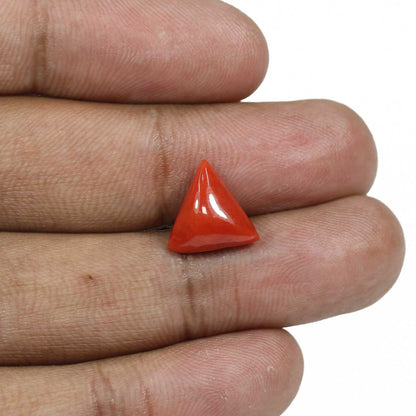 Red Coral (Moonga) - 4.88 Carat