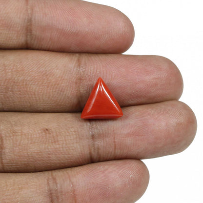 Red Coral (Moonga) - 4.88 Carat
