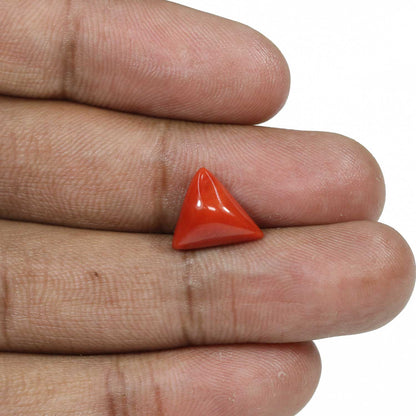 Red Coral (Moonga) - 4.88 Carat