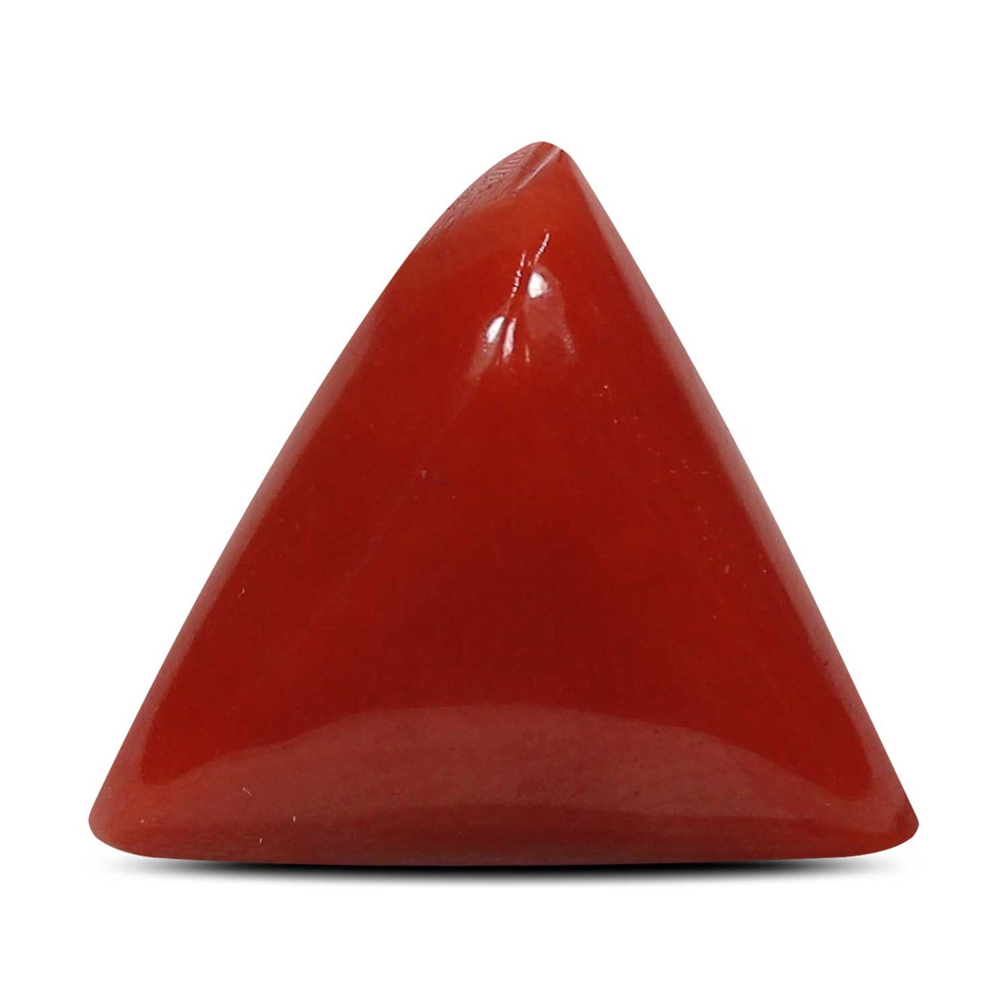 Red Coral (Moonga) - 5.87 Carat