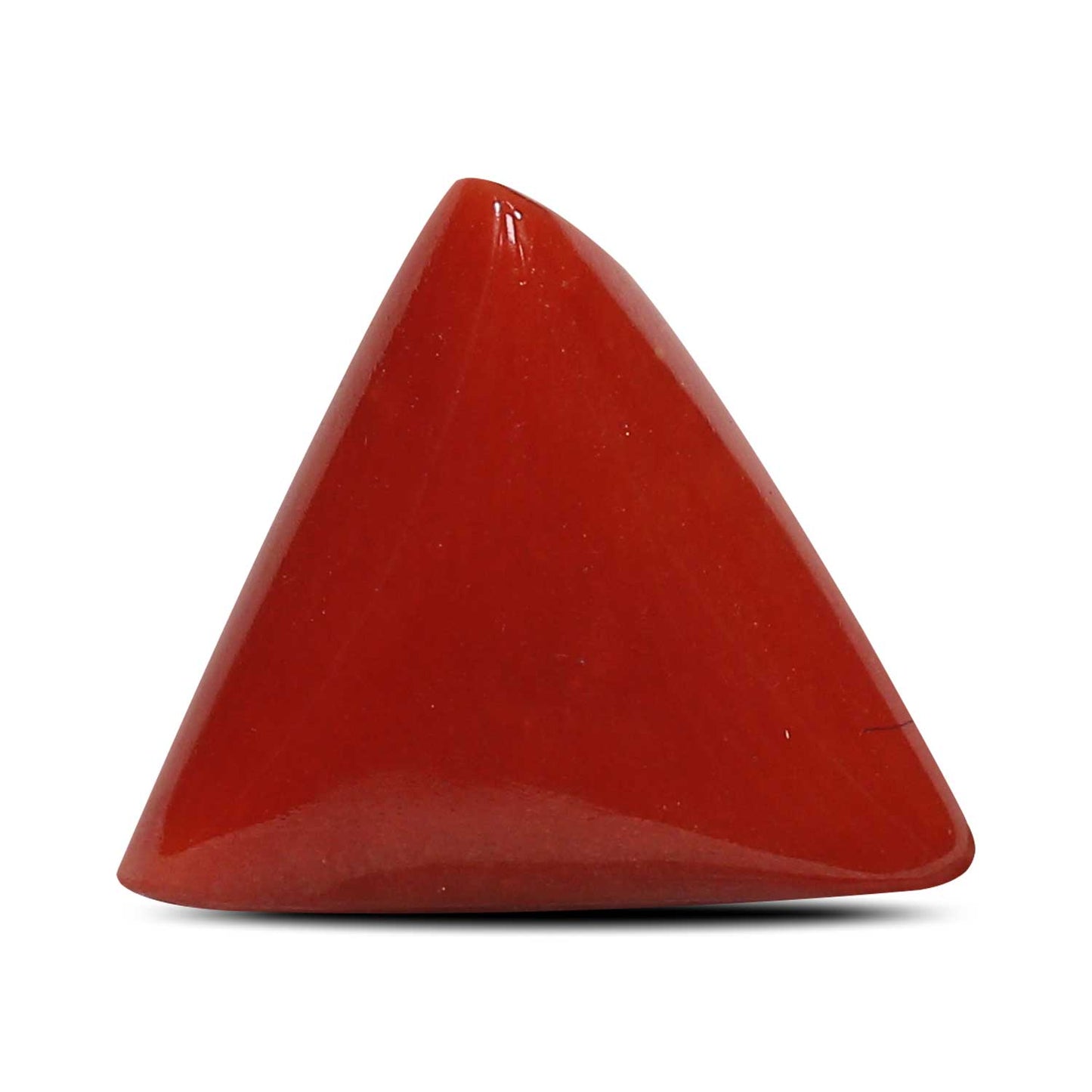 Red Coral (Moonga) - 5.87 Carat