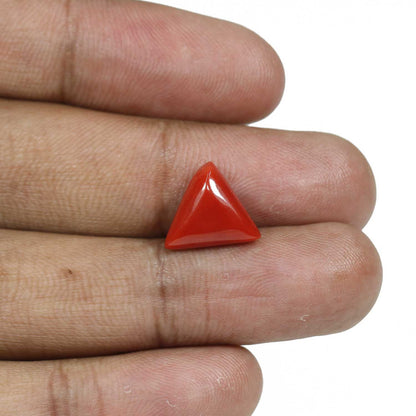 Red Coral (Moonga) - 5.87 Carat