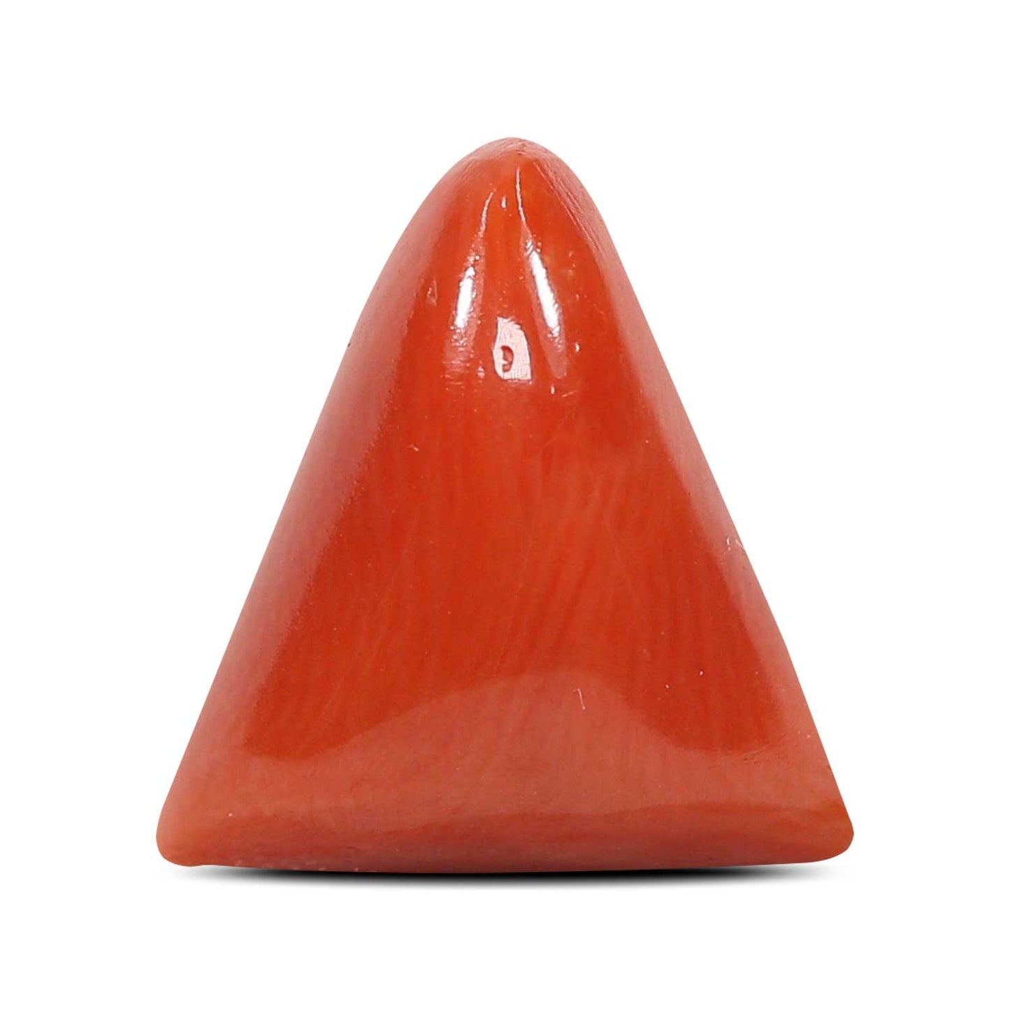 Red Coral (Moonga) - 5.57 Carat