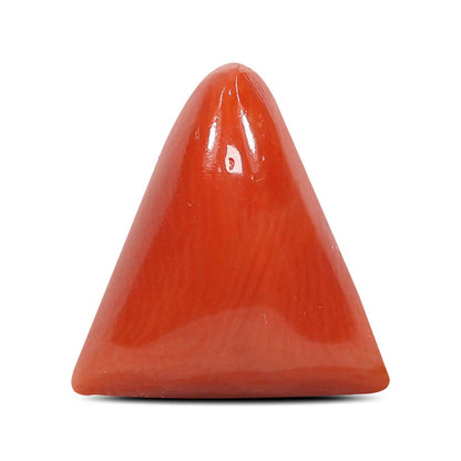 Red Coral (Moonga) - 5.57 Carat