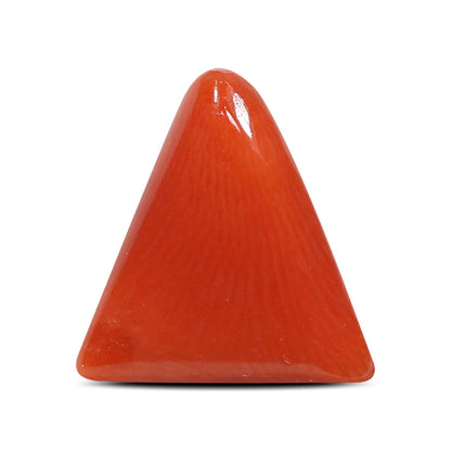 Red Coral (Moonga) - 5.57 Carat