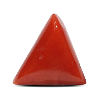 Red Coral (Moonga) - 5.65 Carat