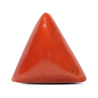 Red Coral (Moonga) - 5.48 Carat