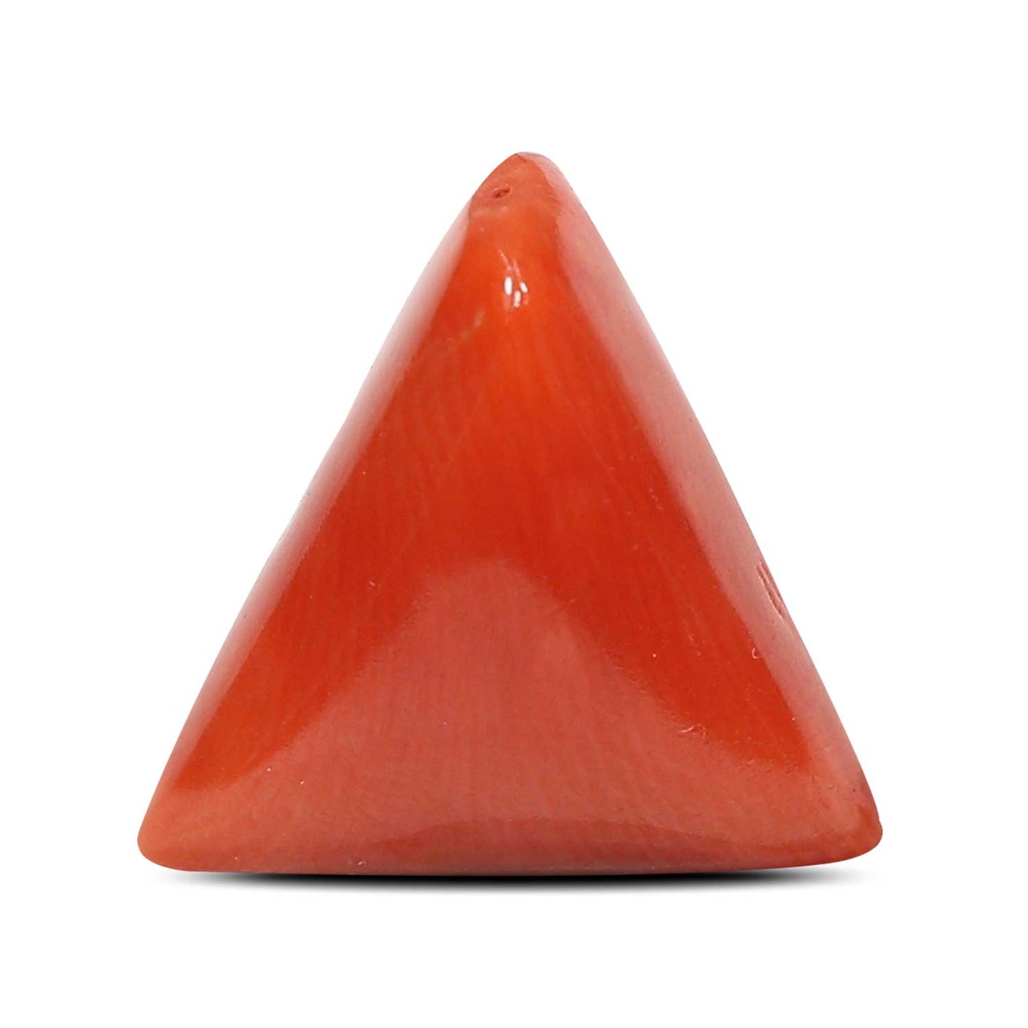 Red Coral (Moonga) - 5.48 Carat