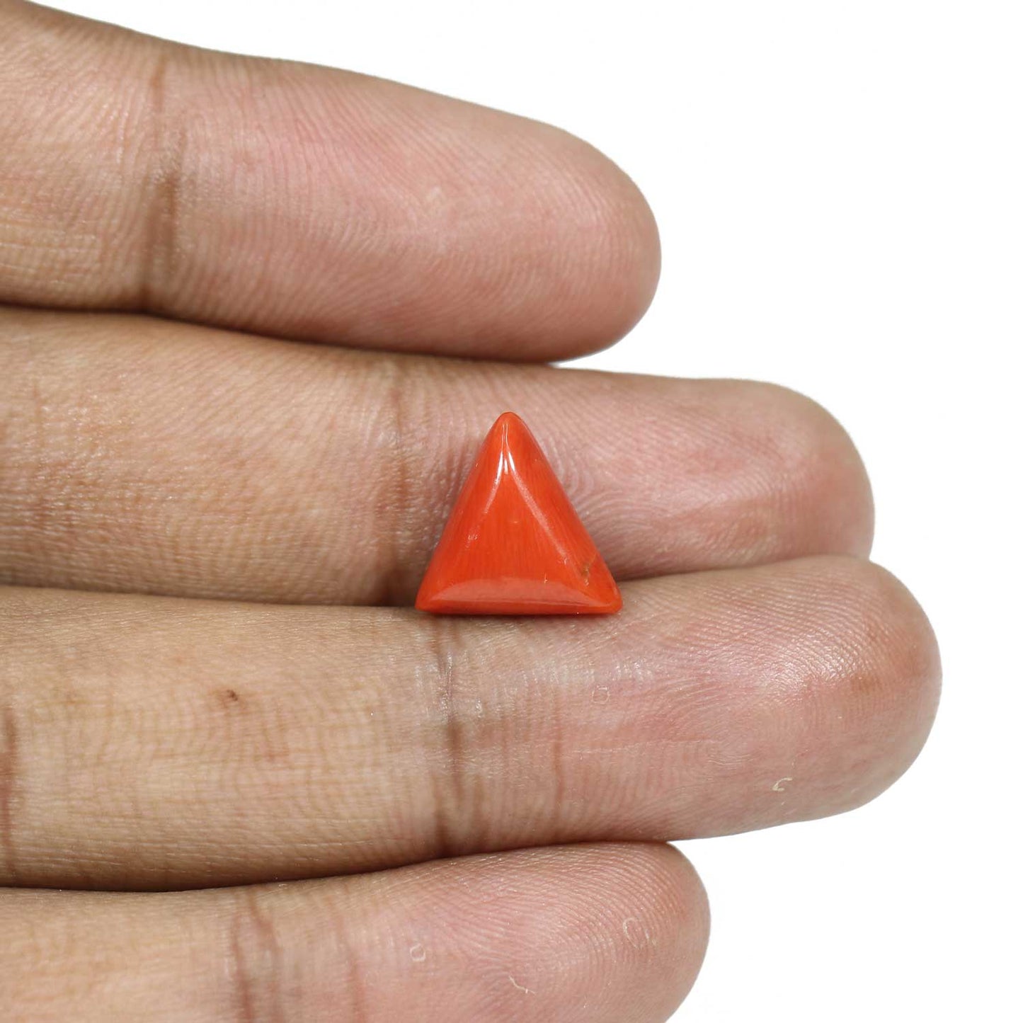 Red Coral (Moonga) - 5.48 Carat