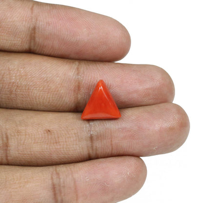 Red Coral (Moonga) - 5.48 Carat