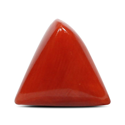 Red Coral (Moonga) - 4.61 Carat