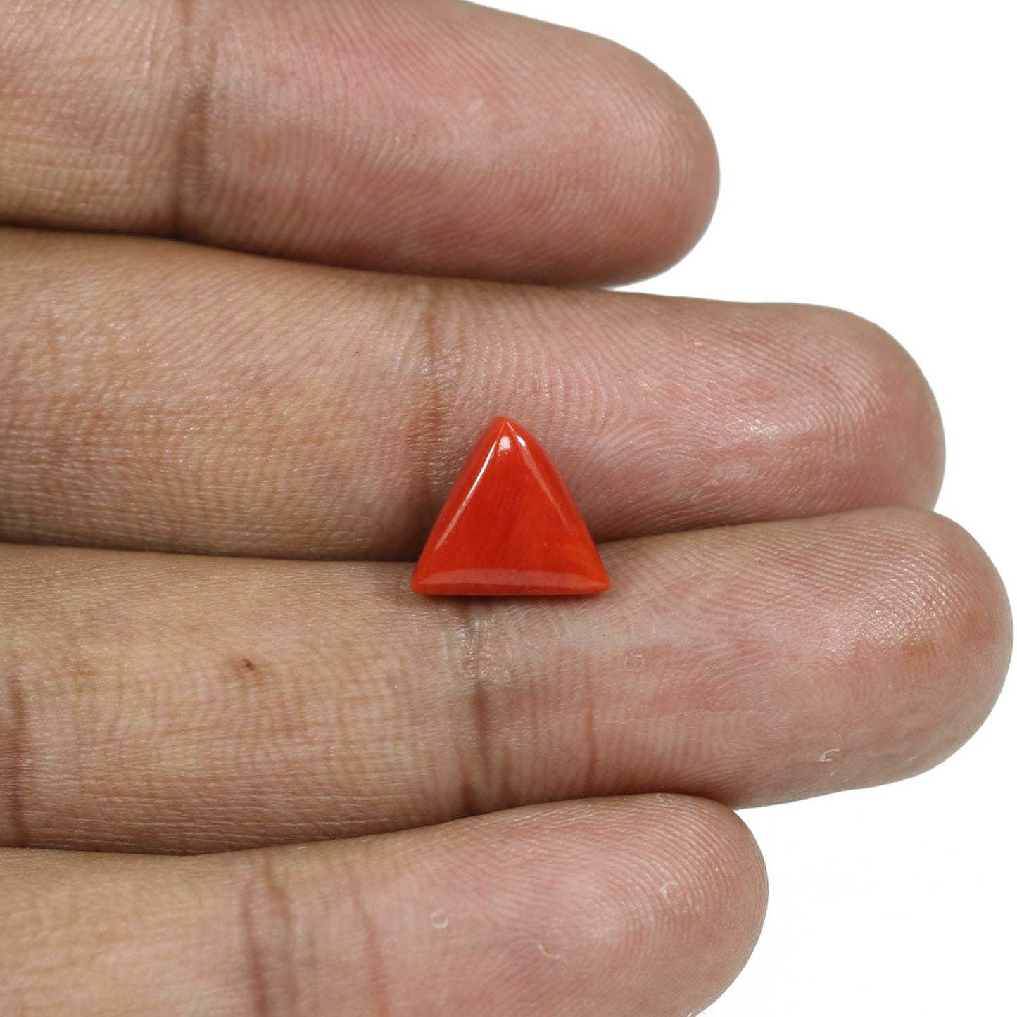 Red Coral (Moonga) - 4.61 Carat