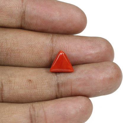 Red Coral (Moonga) - 4.61 Carat