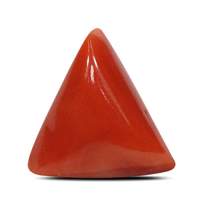 Red Coral (Moonga) - 5.82 Carat