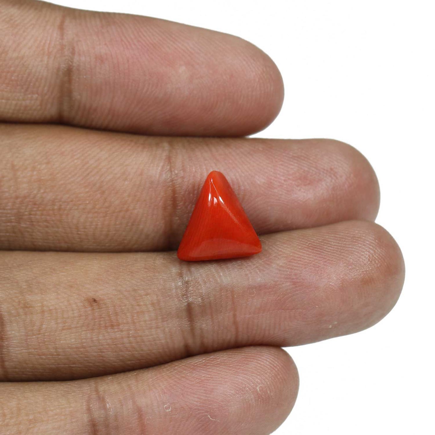 Red Coral (Moonga) - 5.82 Carat